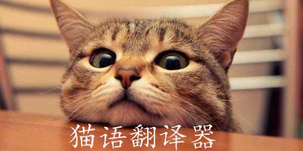 翻译器|猫翻译软件