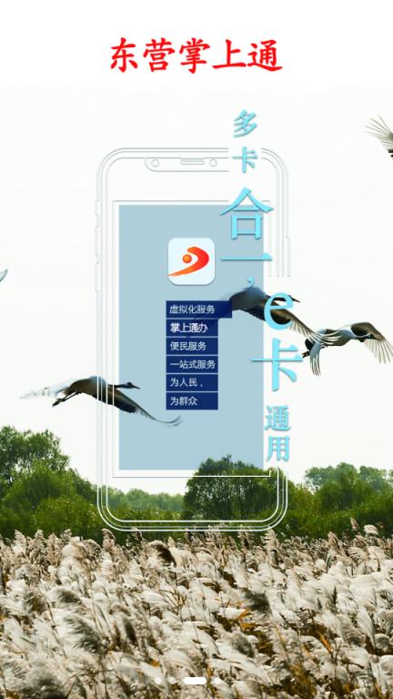 东营掌上通app
