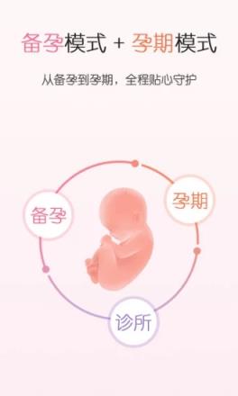 疯狂造人备孕怀孕