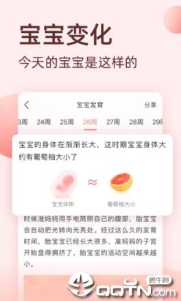 柚宝宝最新版本