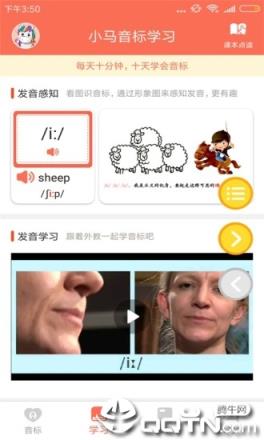 小马音标学习