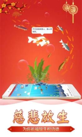 灵占算命八字星座软件