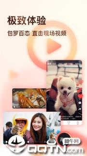 凤凰视频手机客户端