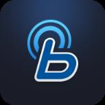 blueLink app