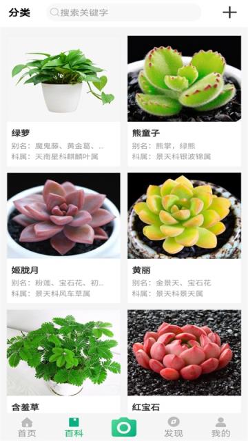 御花园养花(花卉市场)