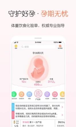 疯狂造人备孕怀孕
