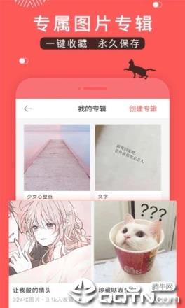 堆糖
