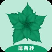 薄荷转app