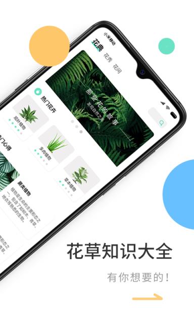 花将app