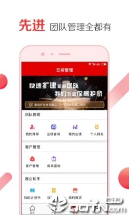 叮咚保