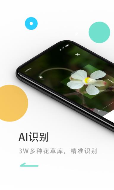 花将app