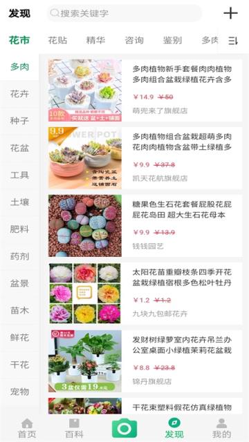 御花园养花(花卉市场)