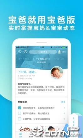 宝宝树孕育app