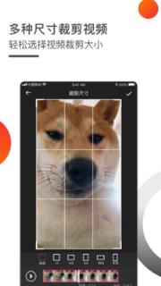 视频去水印专家
