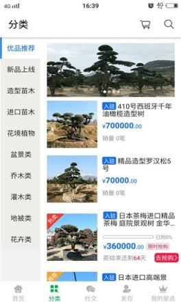 绿龙星选苗木电商平台