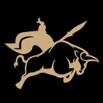 华尔街大师美股学习