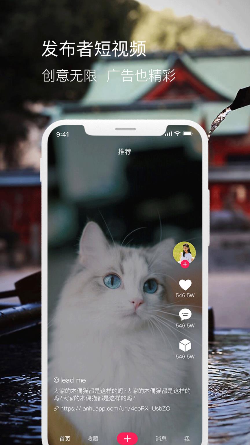 发布者APP