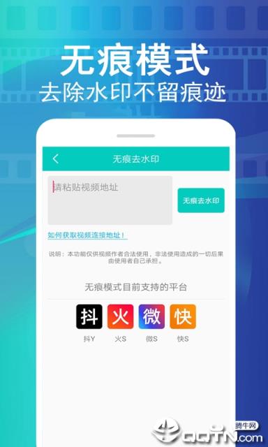 视频大师去水印