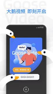 大鹅视频app
