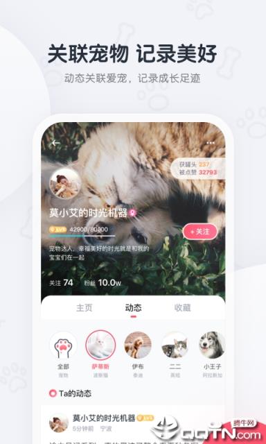 粉爪app
