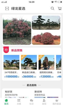 绿龙星选苗木电商平台