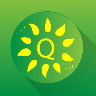 敏特英语葵花籽