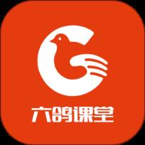 六鸽课堂app