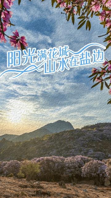 山水盐边app