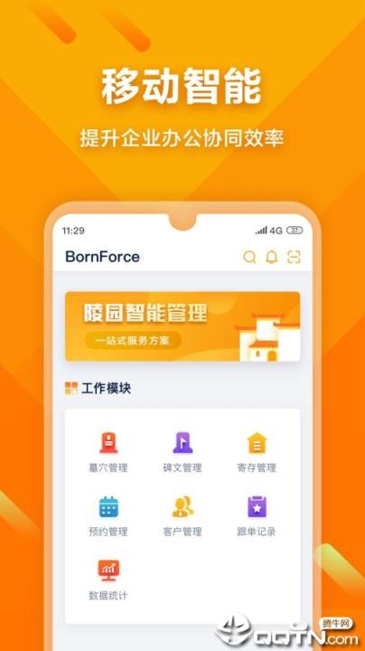 BornForce
