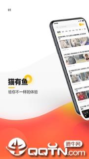 猫有鱼资讯app