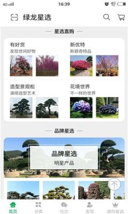 绿龙星选苗木电商平台