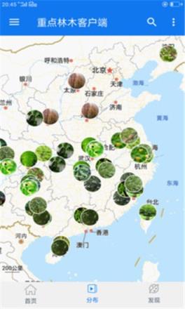 重点林木客户端