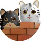 双猫靓女彩购app