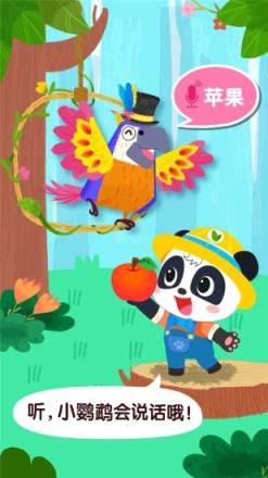 宝宝鸟类认知app