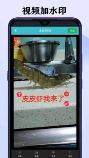 短视频去水印大师免费版
