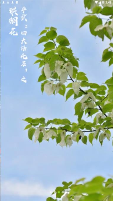 直播平武app
