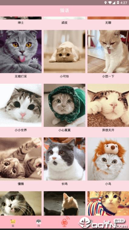 人猫交流器狗语