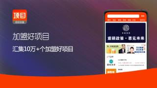 项目网app