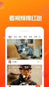 洋葱视频官方版
