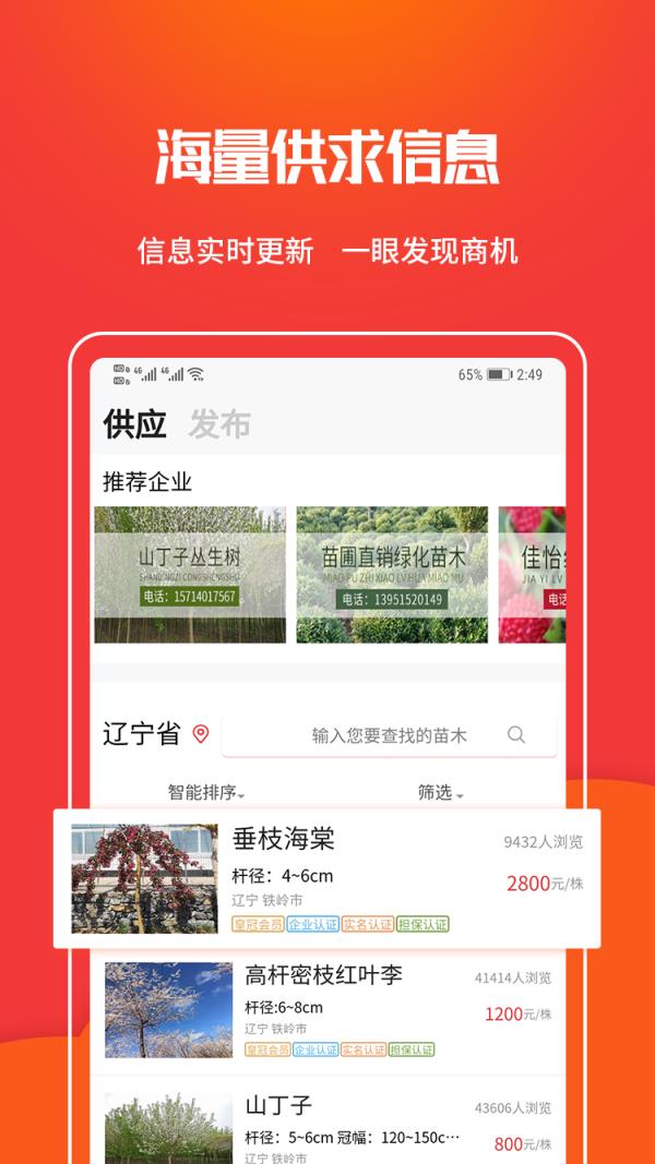苗木网app
