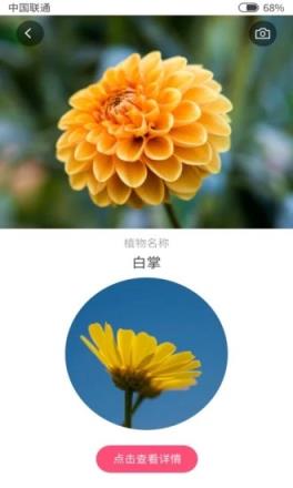 扫码识花app