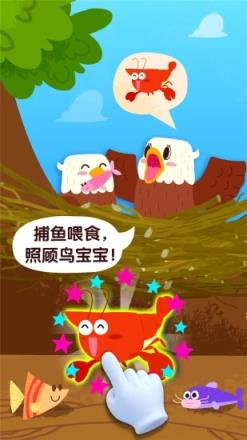 宝宝鸟类认知app