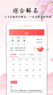 玖安取名起名软件