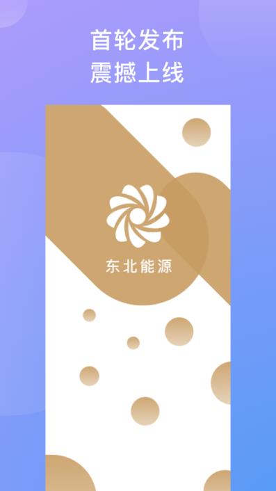 东北e能源app