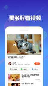 洋葱视频官方版
