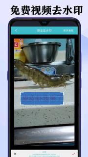 短视频去水印大师免费版