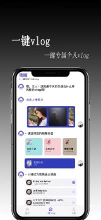 猪圈(视频剪辑)