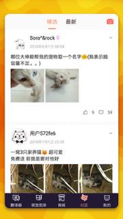 猫语翻译器app
