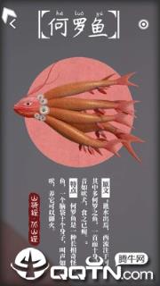 奇幻光影森林app