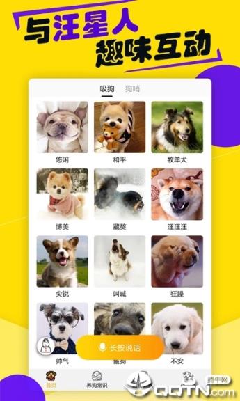 狗语翻译器 人狗交流器